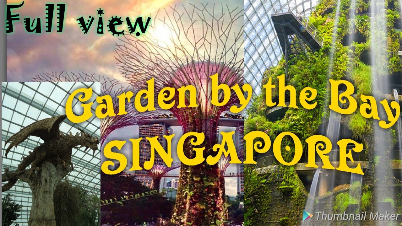 Garden By the Bay- SINGAPORE