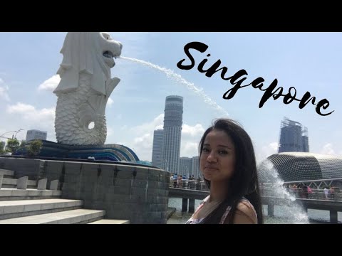 Cabin Crew ✈️ | Singapore Vlog | Sadia Vlogs