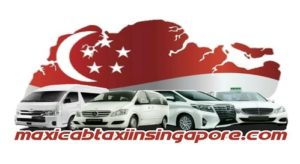new logo 300x164 Top 3 Best Maxicab Service in Singapore