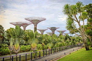 0e74743f bc76 4ac3 a034 b990a80347e4 300x200 Gardens by the Bay in Singapore