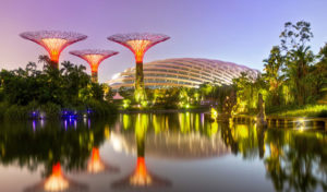 Gardens by the Bay 0 300x176 Maxicab Singapore: The Ideal Transport Solution for Tourists