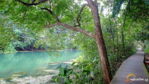 Mac a 300x169 MacRitchie Nature Trail in Singapore