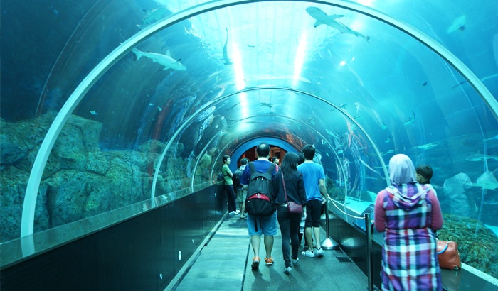 S E A Aquarium Singapore