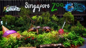 maxresdefault1 300x169 Singapore Zoo in Singapore