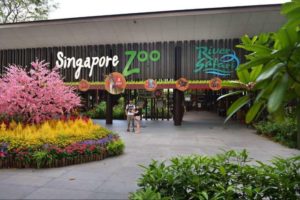 singaporezooentrance2 0 300x200 Maxicab Singapore: The Ideal Transport Solution for Tourists